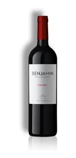 VINO BENJAMIN NIETO MALBEC